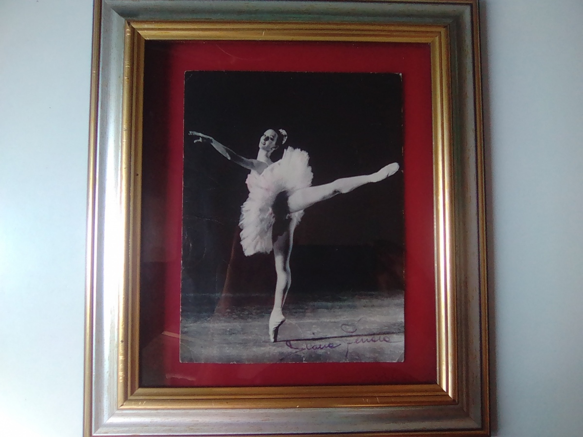 Mostra fotografica sulla grande danza, le più belle immagini dei grandi interpreti del passato